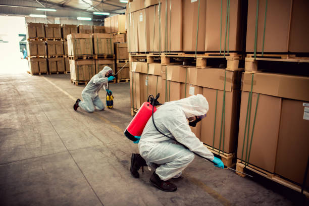 Best Best Pest Control Companies  in Hyde Park, UT