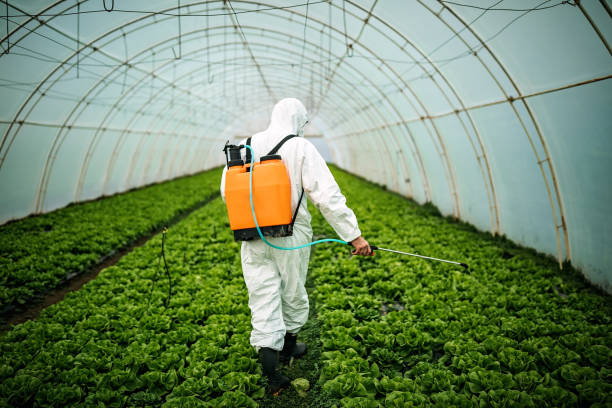 Professional Pest Control in Hyde Park, UT
