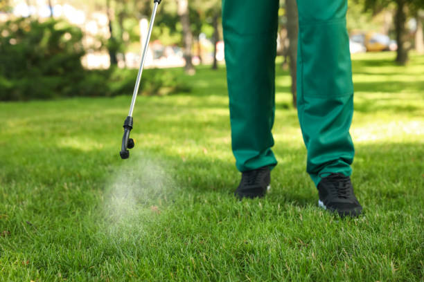 Best Local Pest Control Services  in Hyde Park, UT