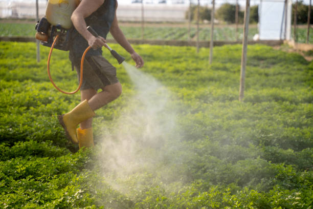 Best Residential Pest Control  in Hyde Park, UT