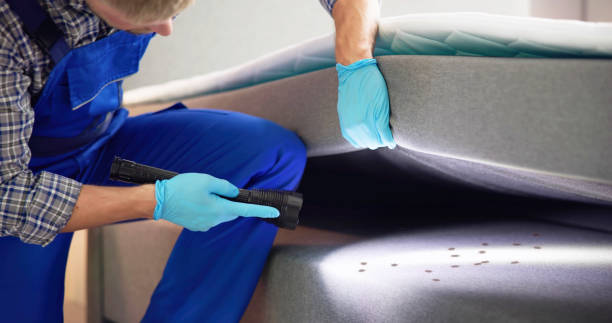 Best Bed Bug Extermination  in Hyde Park, UT