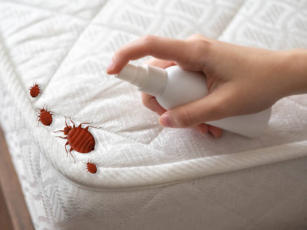Best Best Pest Control Companies  in Hyde Park, UT