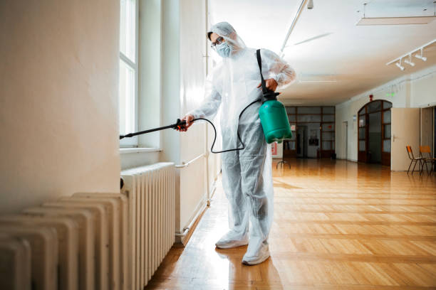 Best Pest Prevention Services  in Hyde Park, UT