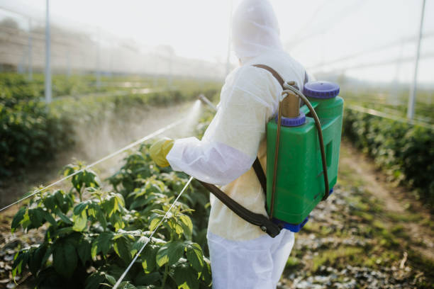Best Affordable Pest Control Services  in Hyde Park, UT